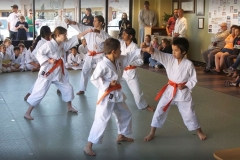 Shotokan-Karate-Leadership-School-leadership-class-2