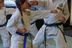 Shotokan-Karate-Leadership-School-leadrship-kid-4