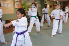 Shotokan-Leadership-martial-arts-hero-3
