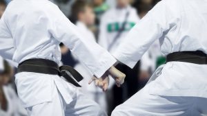 two martial arts students practicing