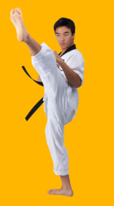 Martial Art Techniques