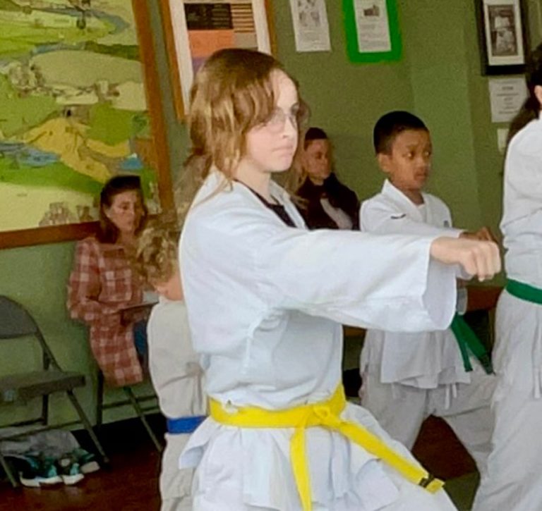 Shotokan karate adult program