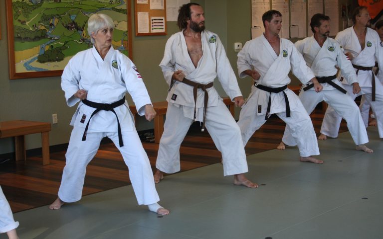 Shotokan Karate adults program